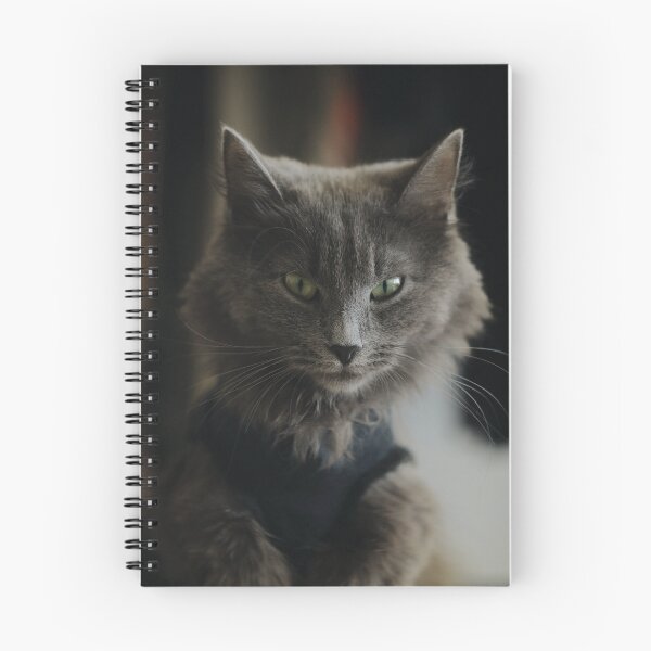 Item preview, Cute Cat Aesthetic With Ash Gray Fur Wallpaper designed and sold by jams923.