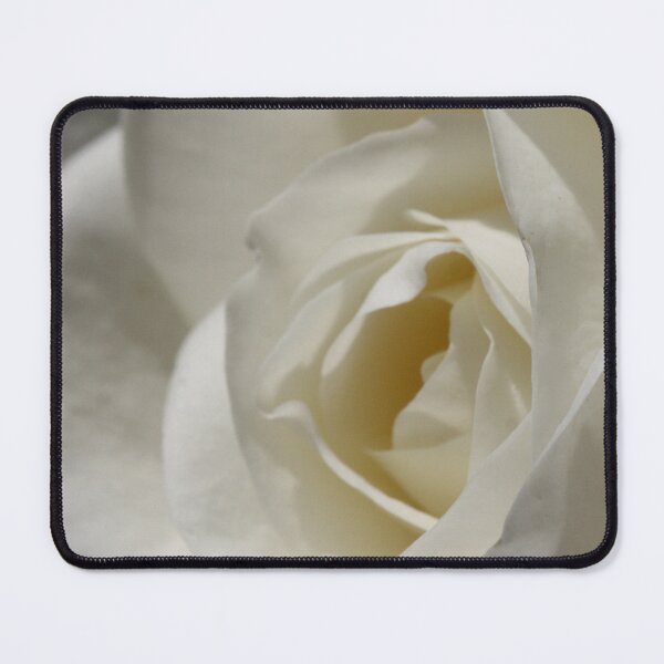 Item preview, Moondance Floribunda Rose designed and sold by Robert Armendariz.