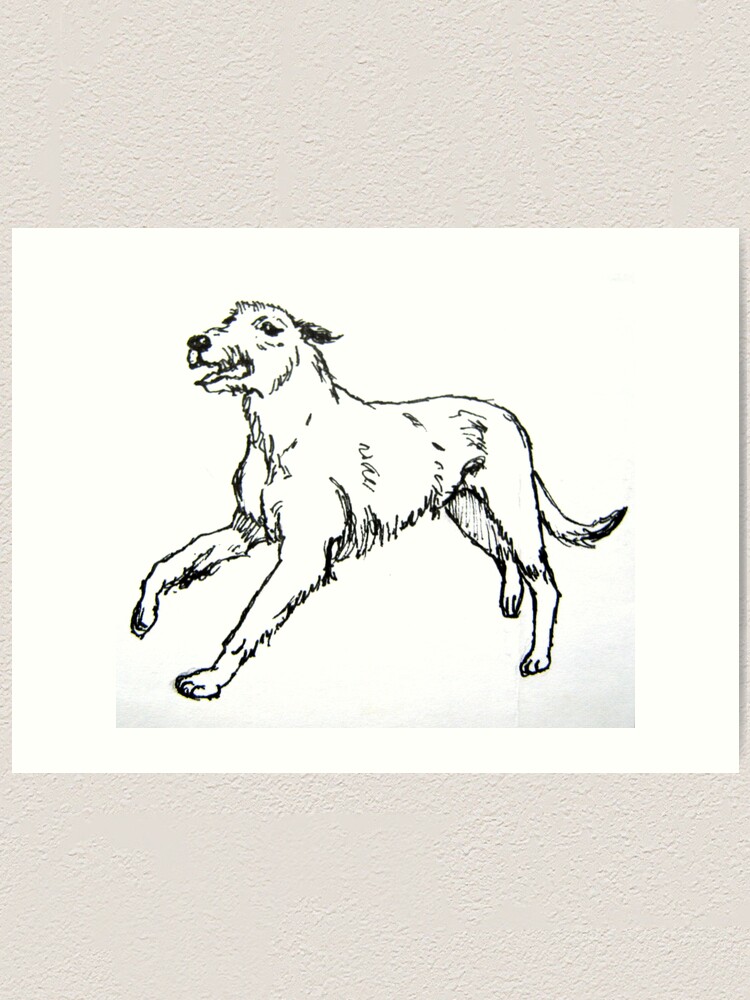 irish wolfhound drawing