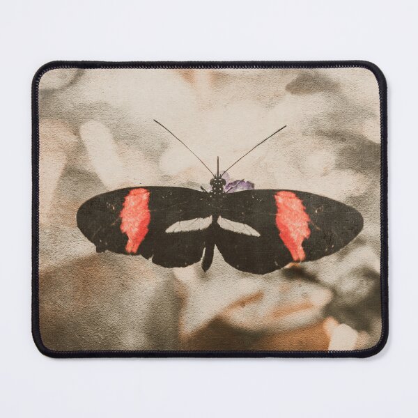 Item preview, The Briefest of Moments I Butterfly Photography designed and sold by KEnzPhotography.