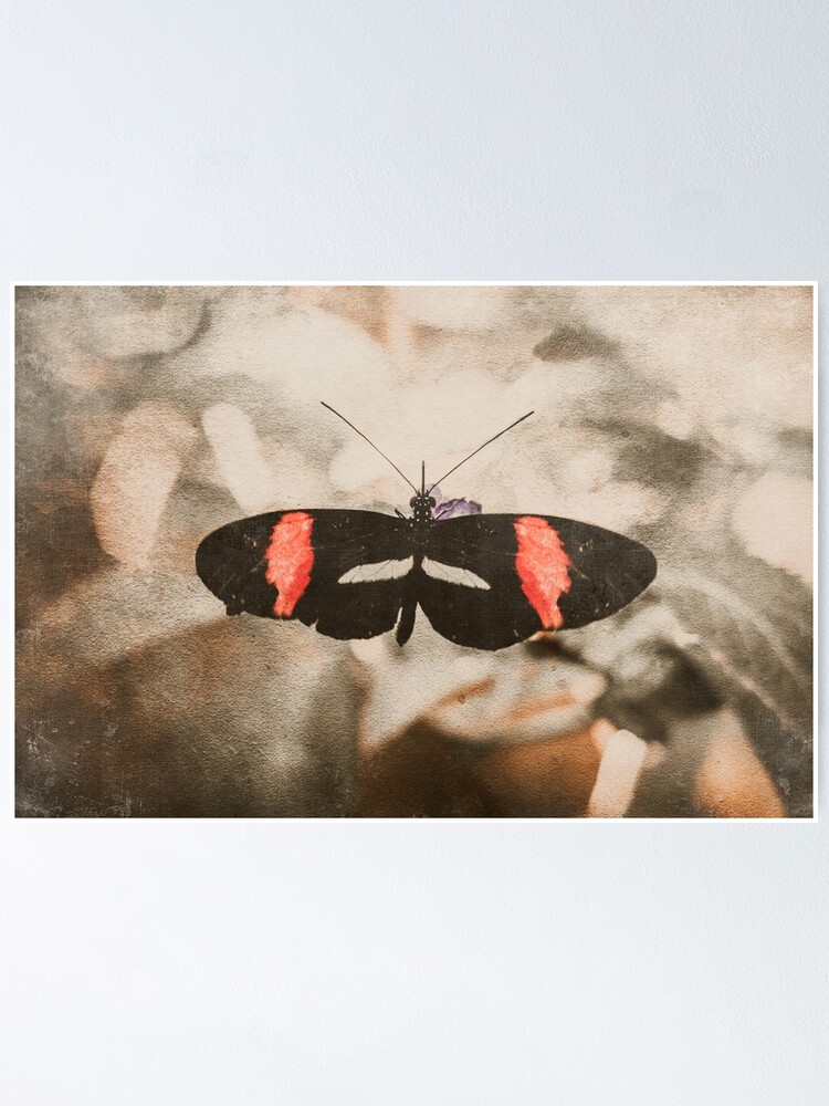 Poised Butterfly Sticker