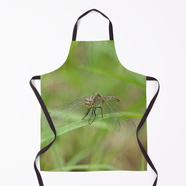 Item preview, Dragonfly 2 designed and sold by Jacquiamber.