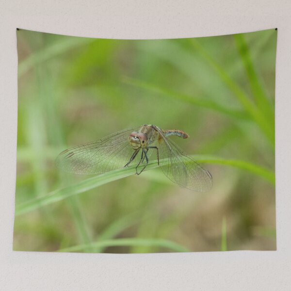 Item preview, Dragonfly 2 designed and sold by Jacquiamber.
