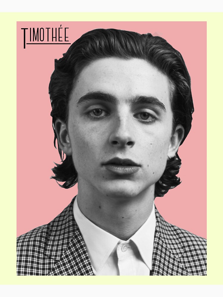 timothee chalamet heart shirt