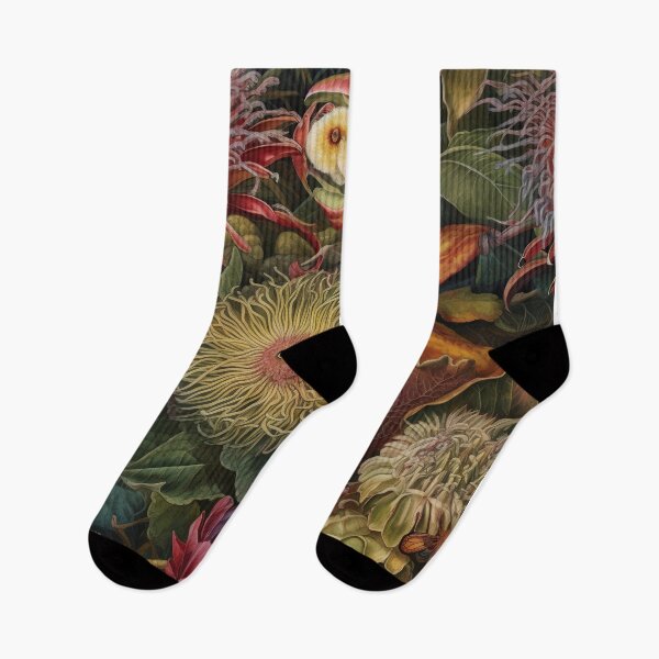 Item preview, A.I. Gardens :: Sampling Masters :: Ernst Haeckel + John James Audubon  designed and sold by SUPERPROMPT.