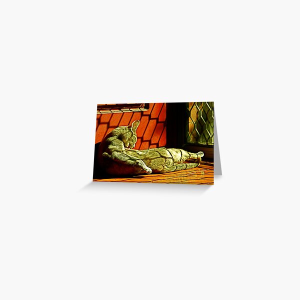 Delilah at rest Greeting Card