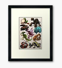 Reptiles & Amphibians Framed Print