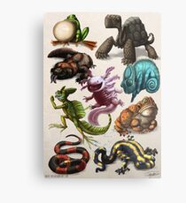 Reptiles & Amphibians Metal Print