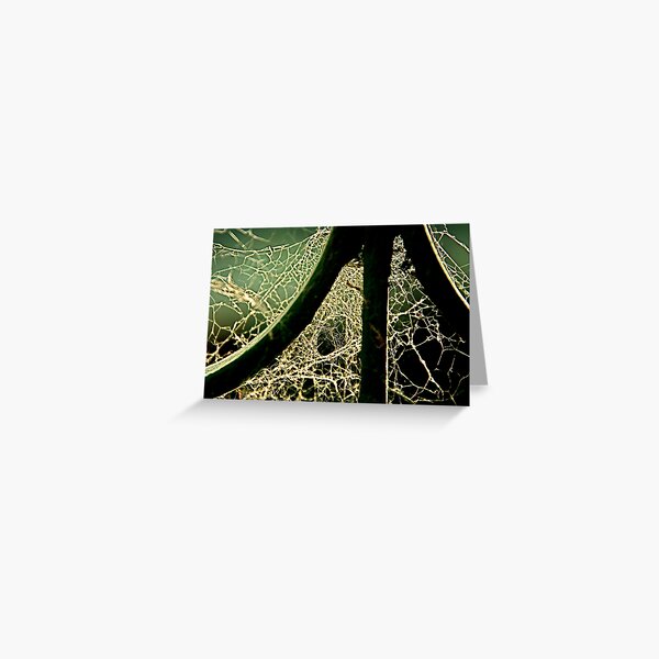 Afternoon Spider Greeting Card
