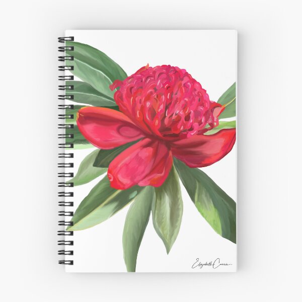 Item preview, Waratah designed and sold by LizCurrieArt.