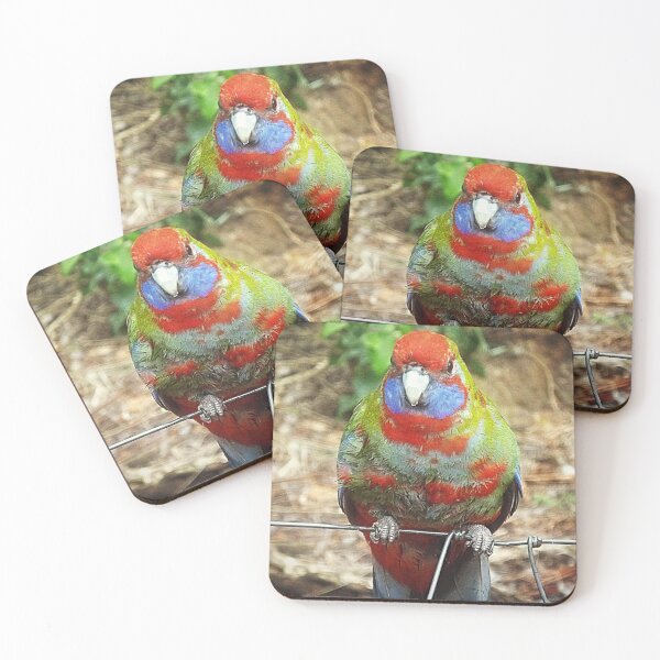Item preview, Juvenile Parrot designed and sold by EdsMum.