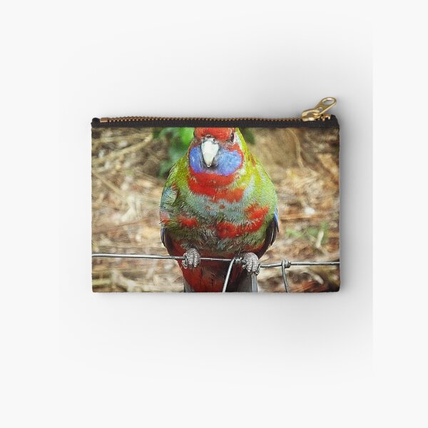 Item preview, Juvenile Parrot designed and sold by EdsMum.