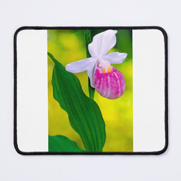 Item preview, Lady Slipper Minnesota designed and sold by OCNau.