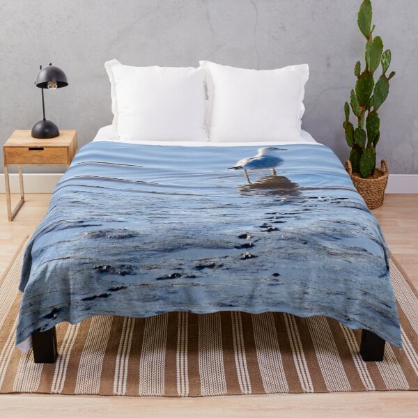 Item preview, Seagull walking in the Ocean water in Maine designed and sold by Louise-Mae.