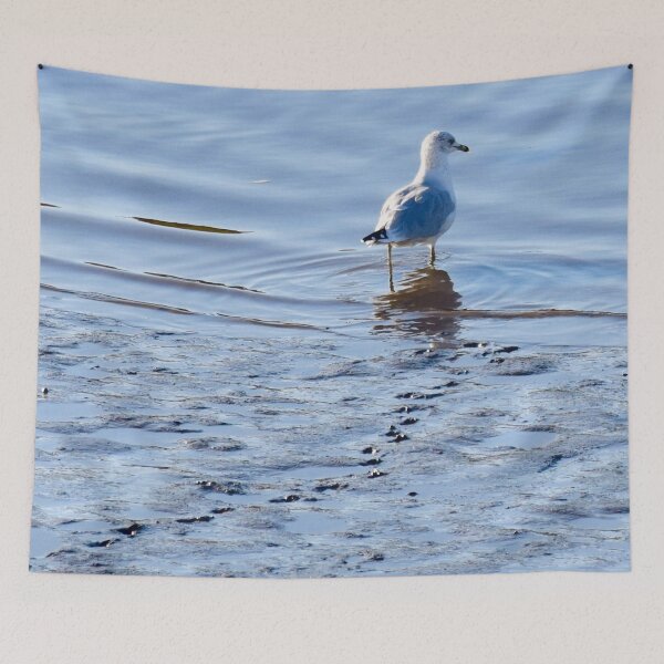 Item preview, Seagull walking in the Ocean water in Maine designed and sold by Louise-Mae.