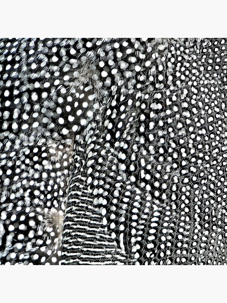 Guinea monochrome feather animal print by chihuahuashower