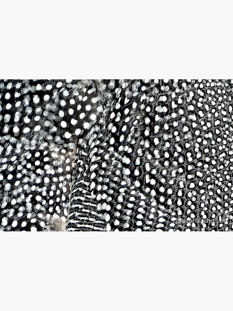 Guinea monochrome feather animal print by chihuahuashower