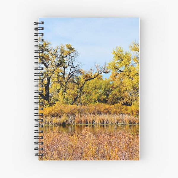 Item preview, Cherry Creek Pond in Autumn  designed and sold by Robert Meyers-Lussier.