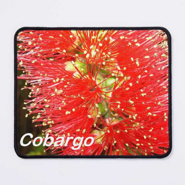 Item preview, Bottle Brush (Callistemon), NSW, Australia designed and sold by Cobargo South Coast.