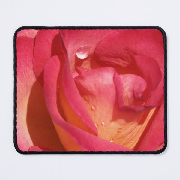 Item preview, Rainbow Sorbet Floribunda Rose Crying designed and sold by Robert Armendariz.