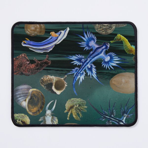 Item preview, Ocean Deepwater Scene with Shells and Animals designed and sold by OpenED360.