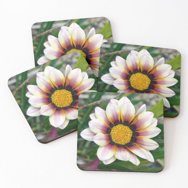 Item preview, The pretty pink and white gazania designed and sold by bevwilson1.