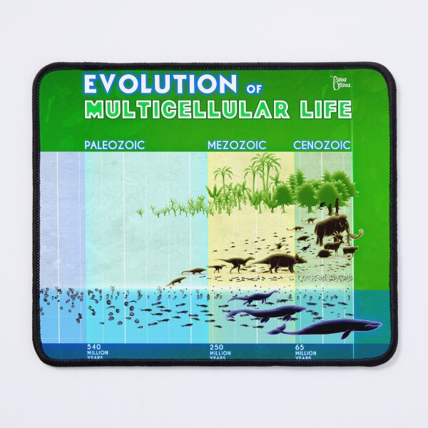 Item preview, Evolution of Multicellular life designed and sold by Pava Orava.