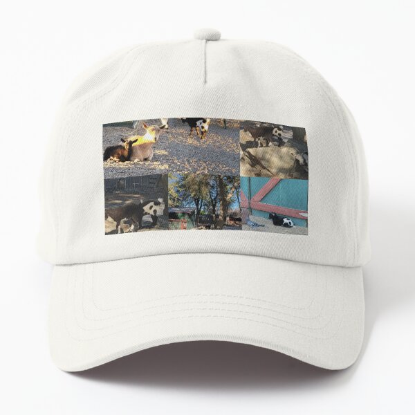 WWVBC Hat — T Walla Walla