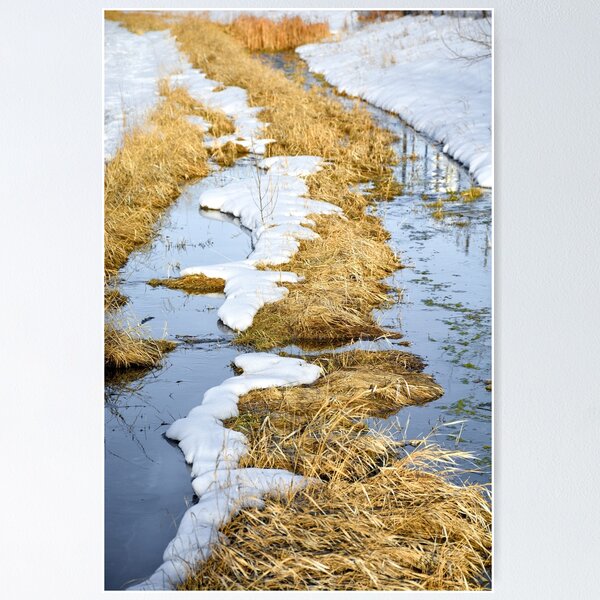 Aperçu de l'œuvre Cherry Creek Snow Melt créée et vendue par Robert Meyers-Lussier.
