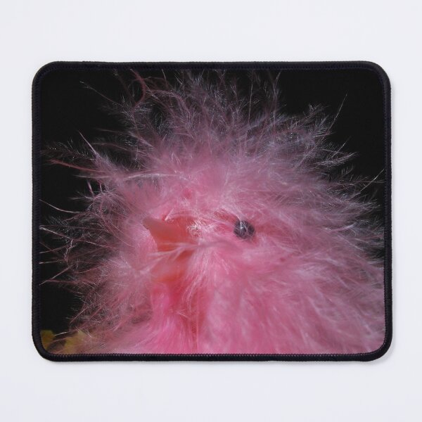 Item preview, Little Pink Fluff designed and sold by AGODIPhoto.