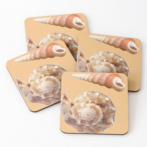Item preview, Two Lovely Seashells designed and sold by OpenED360.