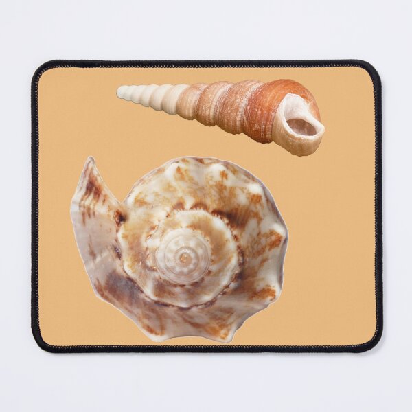Item preview, Two Lovely Seashells designed and sold by OpenED360.