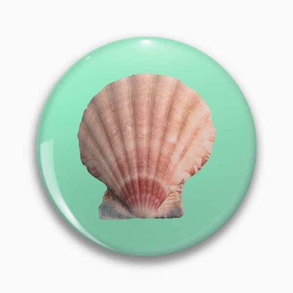 Item preview, A Classic Scallop Seashell  designed and sold by OpenED360.