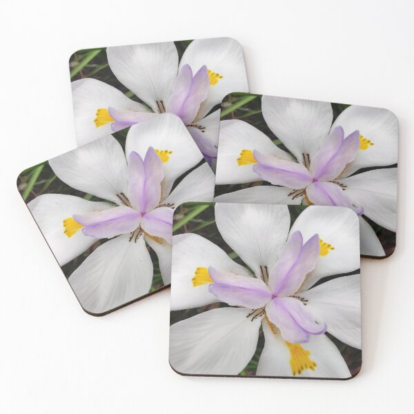 Item preview, Fortnight Lily designed and sold by Jacquiamber.