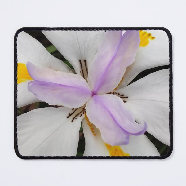 Item preview, Fortnight Lily designed and sold by Jacquiamber.