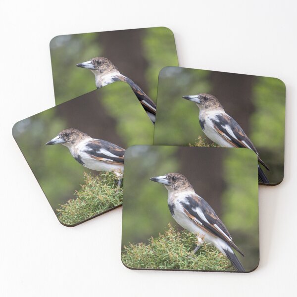 Item preview, Butcher Bird designed and sold by Jacquiamber.