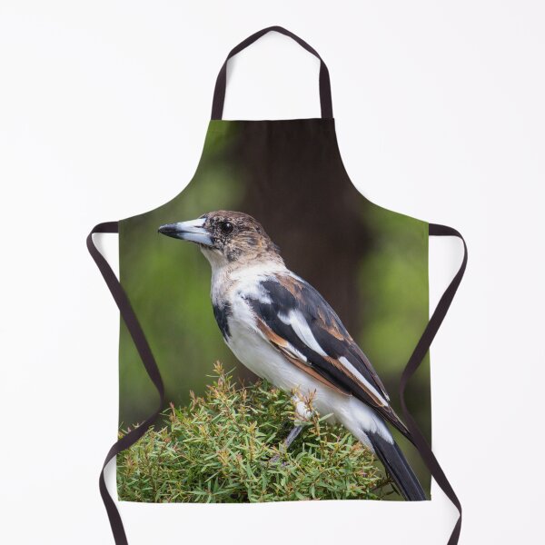 Item preview, Butcher Bird designed and sold by Jacquiamber.