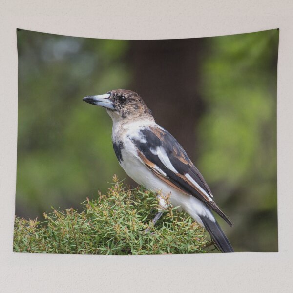 Item preview, Butcher Bird designed and sold by Jacquiamber.
