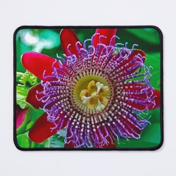 Item preview, Passion flower designed and sold by OCNau.