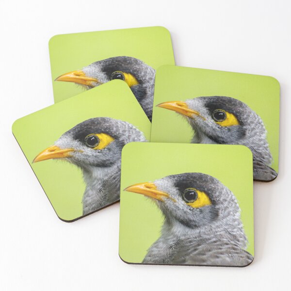 Item preview, Noisy Miner designed and sold by Jacquiamber.