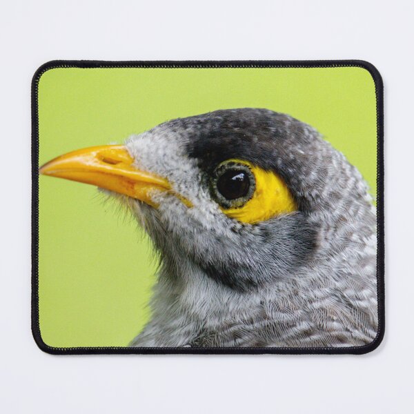 Item preview, Noisy Miner designed and sold by Jacquiamber.