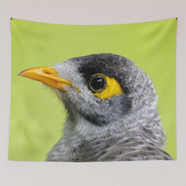 Item preview, Noisy Miner designed and sold by Jacquiamber.