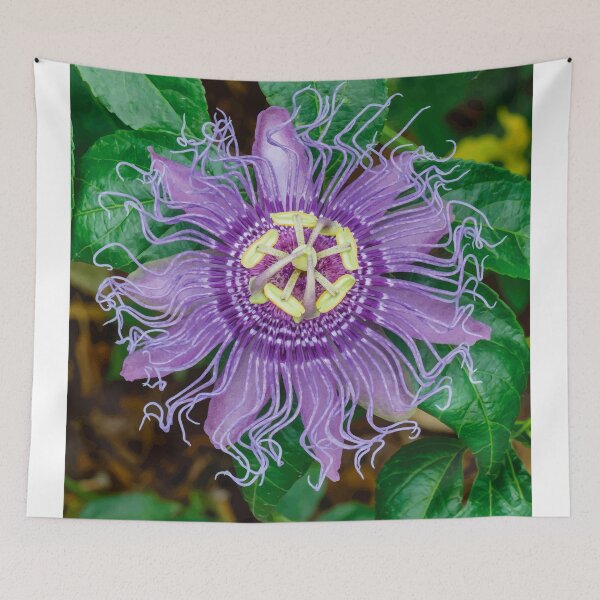 Item preview, Passion flower designed and sold by OCNau.
