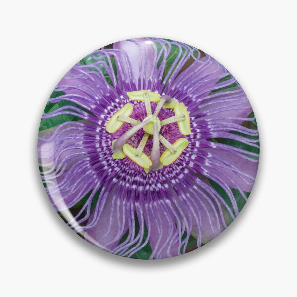 Item preview, Passion flower designed and sold by OCNau.