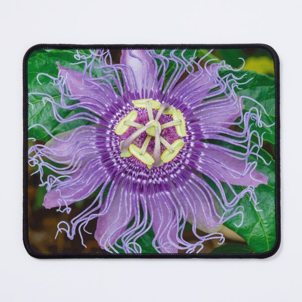 Item preview, Passion flower designed and sold by OCNau.