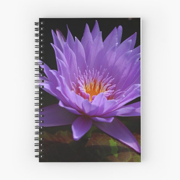 Item preview, Electric Lotus Land 3 designed and sold by beeden.
