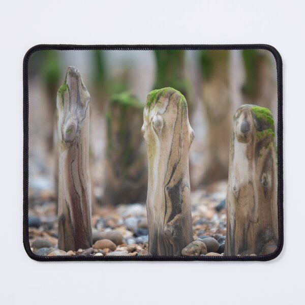 Item preview, Drift wood on the beach designed and sold by AlbanePhoto.