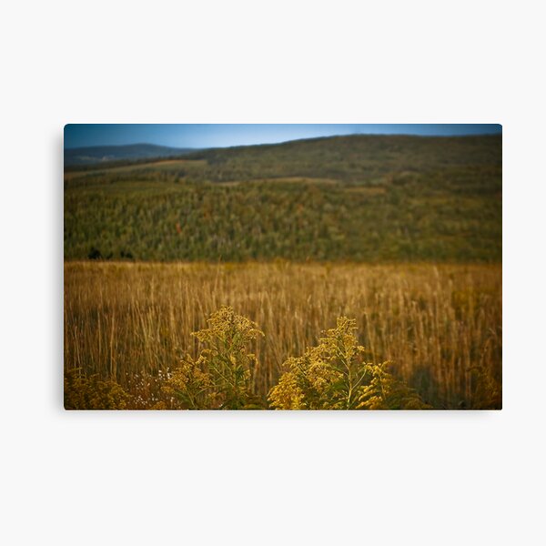 Burn Canvas Print