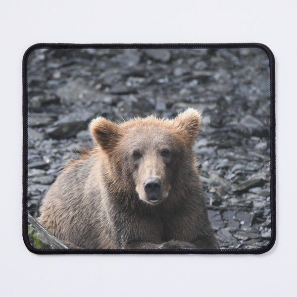 Item preview, Please Bear designed and sold by EaglemasterArts.