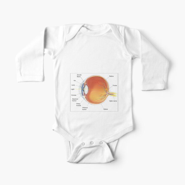 The eye diagram for kid's human anatomy diagrams Long Sleeve Baby One-Piece